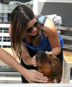 Sophia Bush Downblouse